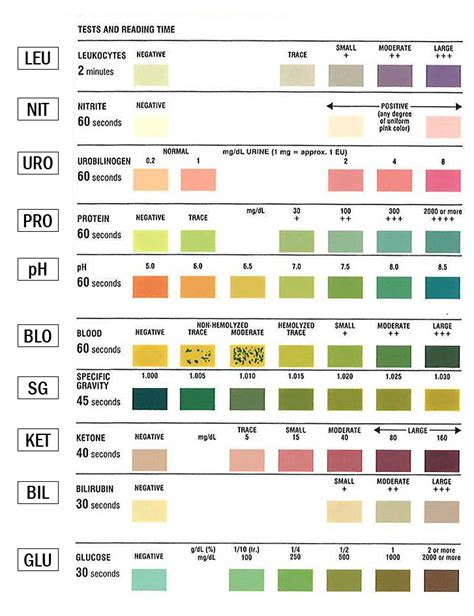 siemens multistix 10 sg chart